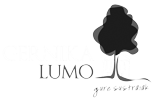 Logo ayuntamiento Gernika-Lumo