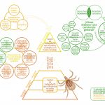 Ignacio Muro - Laboratorio de Economía de Paz, Derechos Humanos y Empresa Vasca - Gernika Gogoratuz