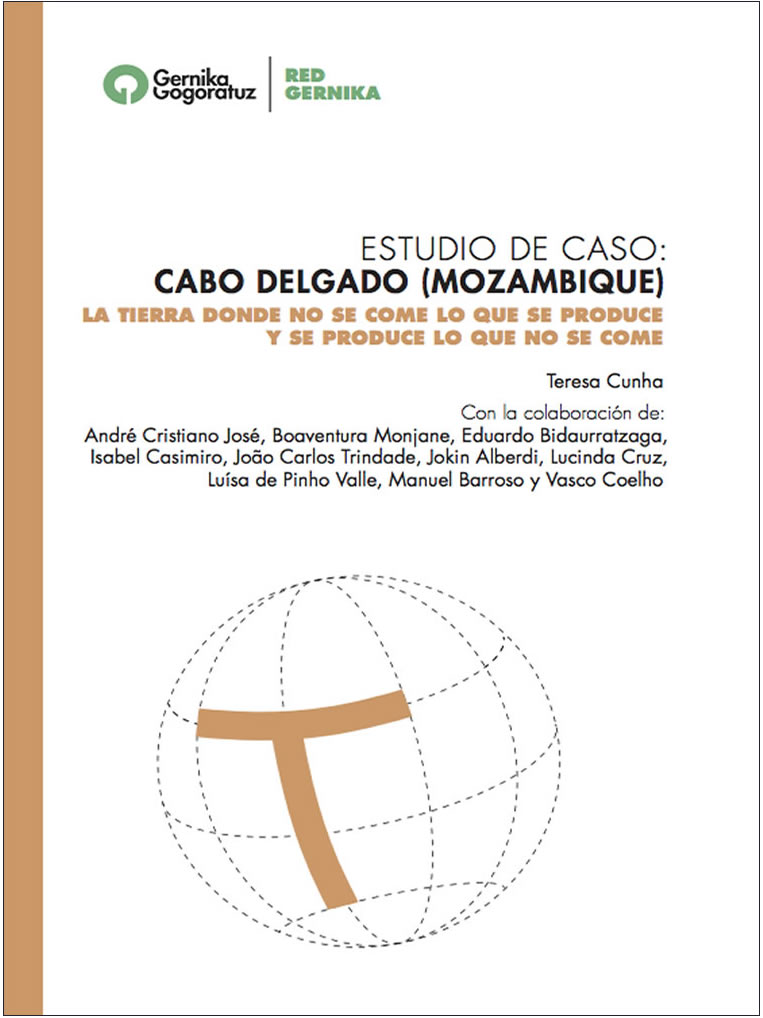 estudio cabo delgado en pdf