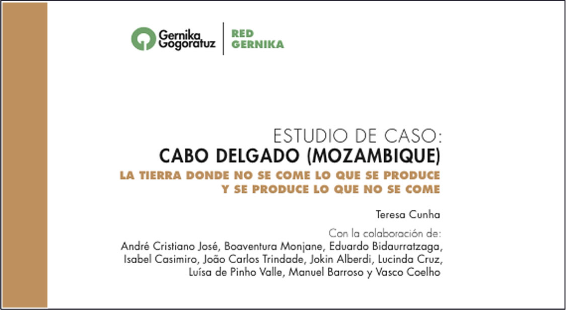 estudio de caso Cabo Delgado por Teresa Cuhna