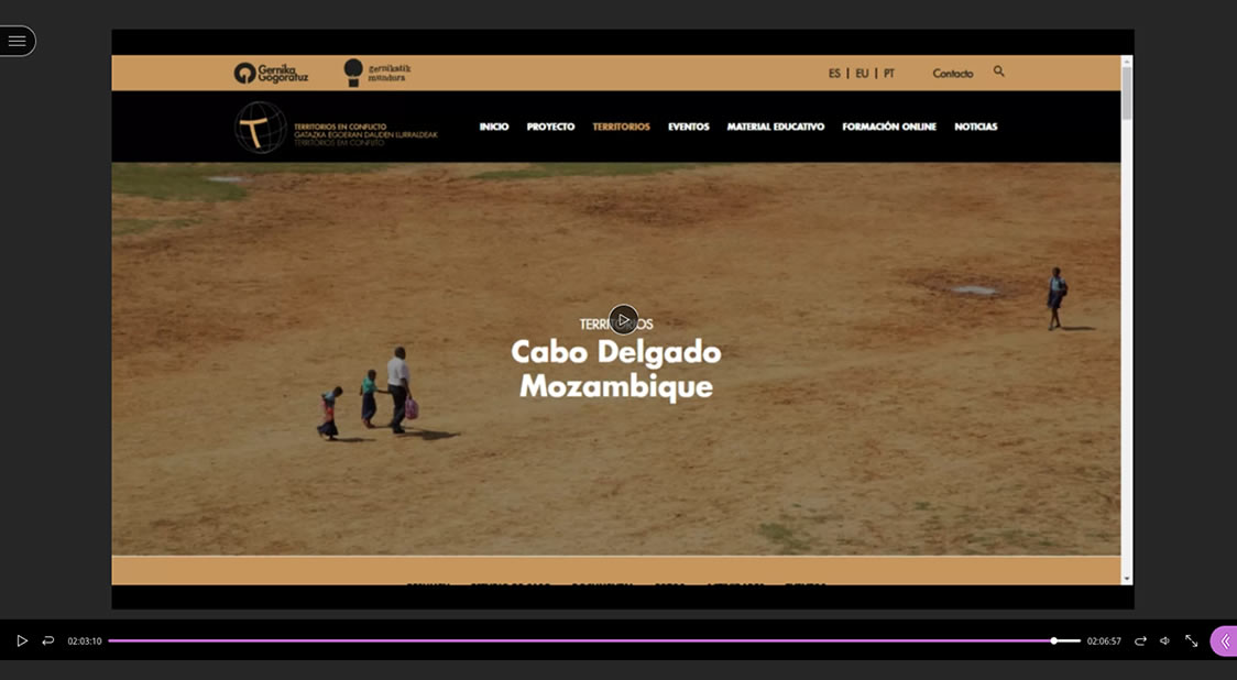 webinar cabo delgado