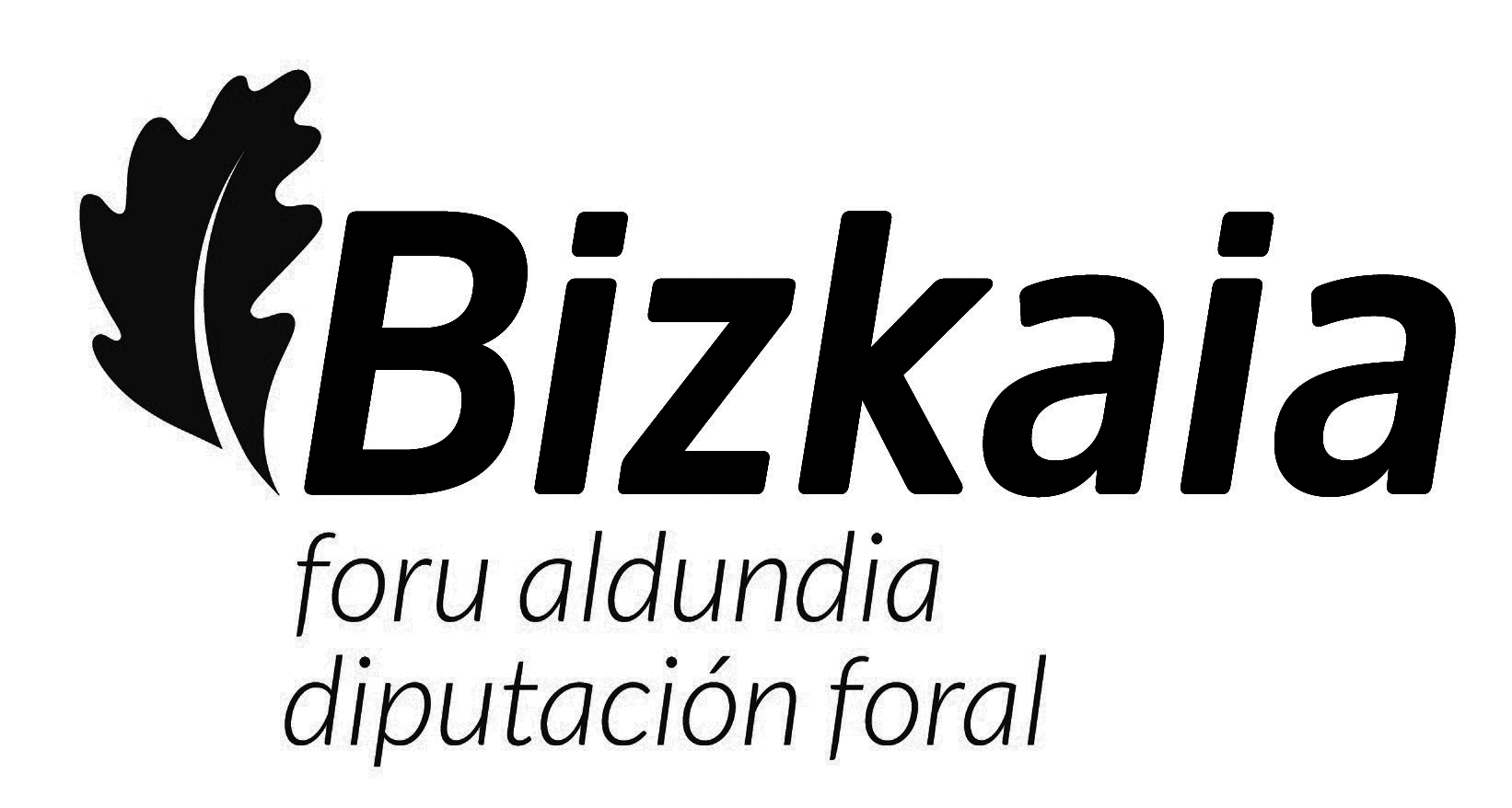 Diputacion Foral de Bizkaia