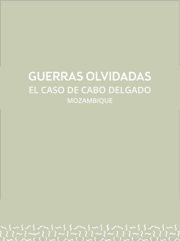 Guerras olvidadas El caso de Cabo Delgado (Mozambique).