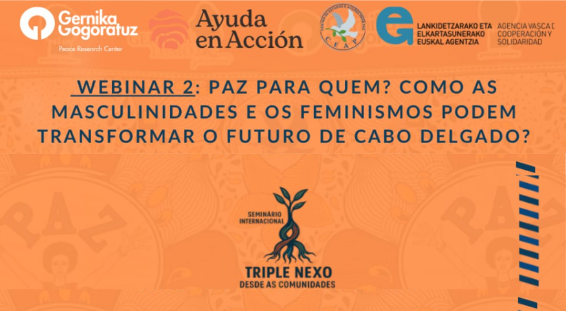 webinar "Paz para quien? Cómo las masculinidades y los femnismos pueden transformar el futuro de Cabo Delgado"