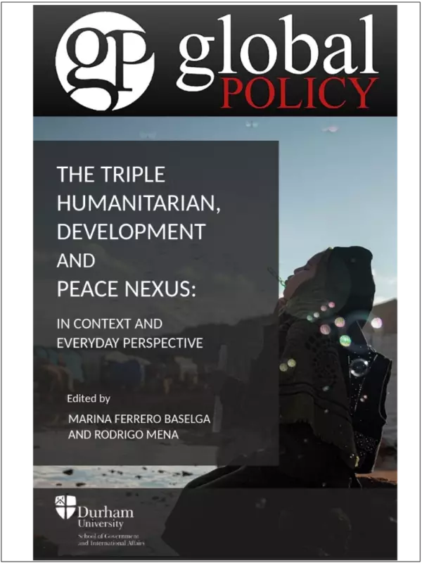 A Critical Analysis of the War and the Triple Nexus in Northern Mozambique